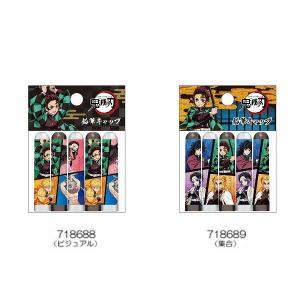 鬼滅の刃「ファスナー付き6ポケットクリアファイル(全2種)」 : 金箔屋