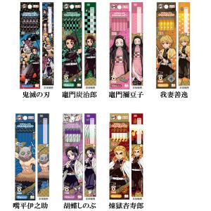 カミオジャパン 鬼滅の刃 両面開きペンケース 筆箱 柱＿集合 719269