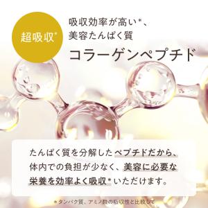 KINS プロテイン VINEGAR PROT...の詳細画像3