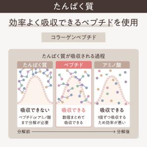 KINS プロテイン VINEGAR PROT...の詳細画像4