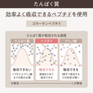 KINS プロテイン VINEGAR PROT...の詳細画像4