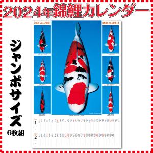 【泳ぐ宝石】２０２４年　錦鯉　ジャンボカレンダー　１部　特大｜kinsai-nishikigoi