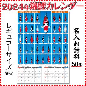 【泳ぐ宝石】名入れ無料　２０２４年　錦鯉カレンダー　レギュラーサイズ　５０部｜kinsai-nishikigoi