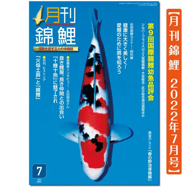 【泳ぐ宝石】月刊錦鯉　２０２２年　７月号　１冊