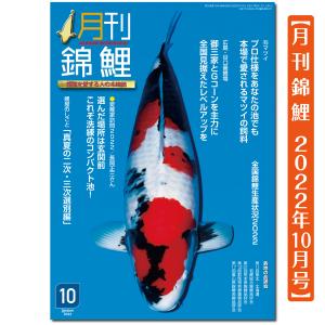 月刊錦鯉　２０２２年　10月号　１冊