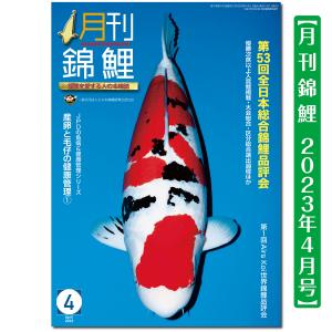 月刊錦鯉　２０２３年　４月号　１冊