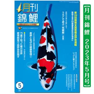 【泳ぐ宝石】月刊錦鯉　２０２３年　５月号　１冊｜kinsai-nishikigoi