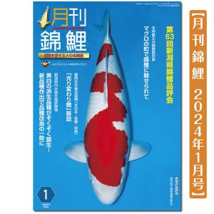 【泳ぐ宝石】月刊錦鯉　２０２４年　１月号　