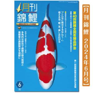 【泳ぐ宝石】月刊錦鯉　２０２４年６月号　第40回錦鯉全国若鯉品評会／愛鯉家訪問／錦鯉学センター｜株式会社 錦彩出版