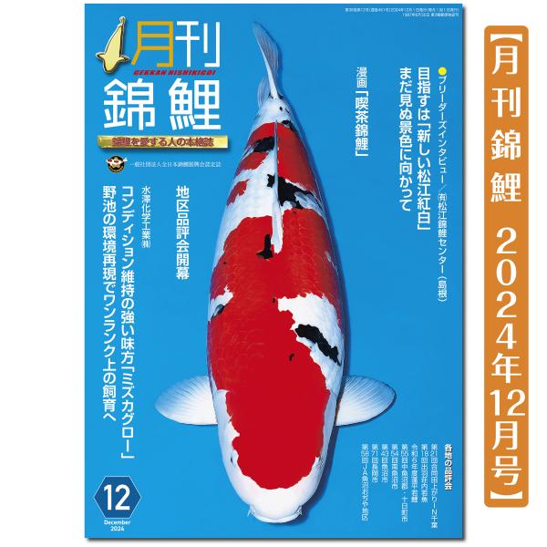 【泳ぐ宝石】月刊錦鯉　２０２４年12月号　松江錦鯉センター／水澤化学工業／漫画「喫茶錦鯉」