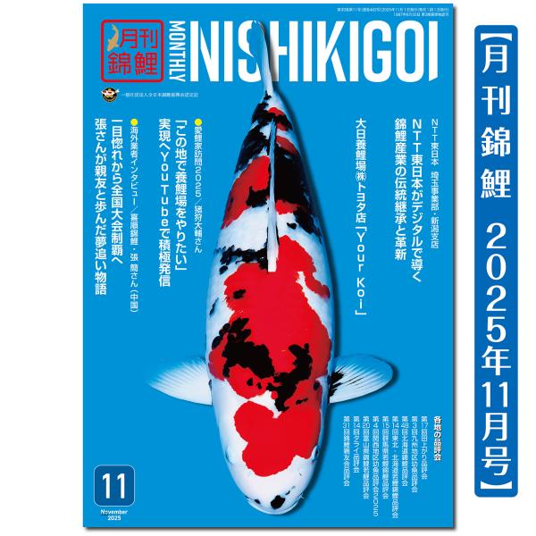【泳ぐ宝石】月刊錦鯉　２０２５年11月号　NTT東日本／愛鯉家訪問／海外業者インタビュー