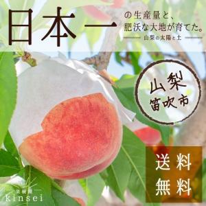 【2025年度予約販売】桃 約5kg 加工用  訳あり 送料無料 山梨 農家直送  ご自宅用 フルーツ   もも　クール便
