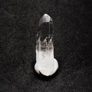 北海道産 アンモナイト化石 ハウエリセラス化石 標本 国産 日本産