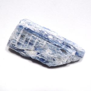 魚化石 淡水魚化石 ナイティア アメリカ産 : 鉱物標本 天然石 金星舎