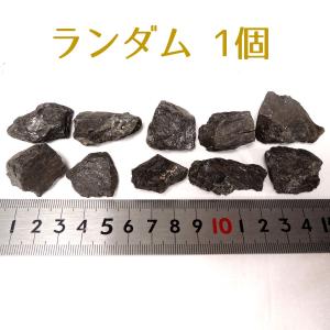 北海道産 アンモナイト化石 ハウエリセラス化石 標本 国産 日本産