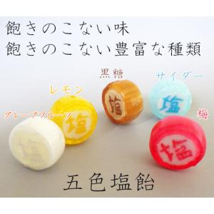 五色塩飴 個別包装 各1個 計5個 熱中症対策の詳細画像1