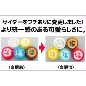 五色塩飴 個別包装 各1個 計5個 熱中症対策の詳細画像2