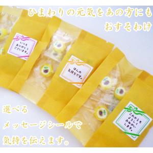 ひまわりキャンディパック 1袋6粒入り 個包装...の詳細画像3