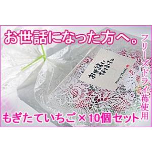 送料無料 グミッツェル 1箱12枚入り ビニールショッパー付