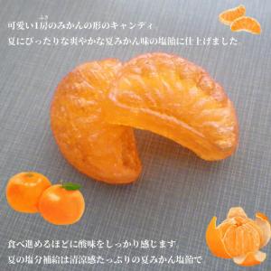 みかん塩飴(夏みかん味) 1袋100個入り 業...の詳細画像2