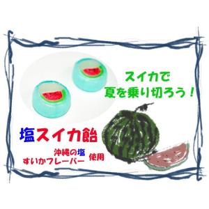 塩スイカ飴 1個 個包装 すいかキャンディ 塩飴の詳細画像1