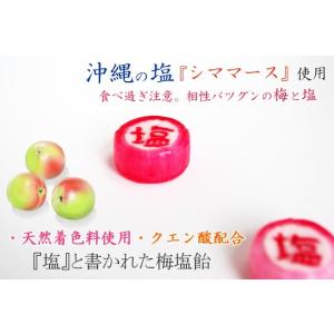 うめ塩飴 1個 個別包装 熱中症対策グッズ 塩分補給の詳細画像1