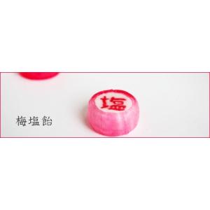 うめ塩飴 1個 個別包装 熱中症対策グッズ 塩分補給の詳細画像2