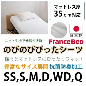 フランスベッド ウォーターベッド用 防腐剤 タブレットタイプ（錠剤）1