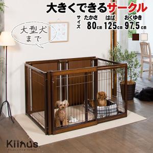 Kiinus kiinus キーヌス 日本製 [ サークルルーム F 80XLp メッシュ