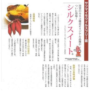 2026年度 すぐ発送 予約受付中 シルクスイ...の詳細画像2