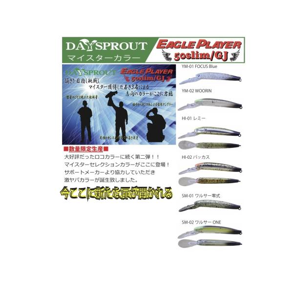 イーグルプレーヤー50slim/GJ 第二弾 マイスターセレクションカラー　50スリムGJ　ディスプ...