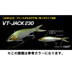 Fish Arrow VT-JACK 230　フィッシュアロー　VT-ジャック230