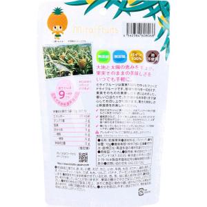 ※ミライフルーツ パイナップル 10gの詳細画像1