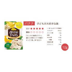 ※ミライフルーツ バナナ 12gの詳細画像2