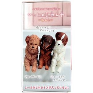 フィギュア いっしょにねんね わんこ 1個入の詳細画像2