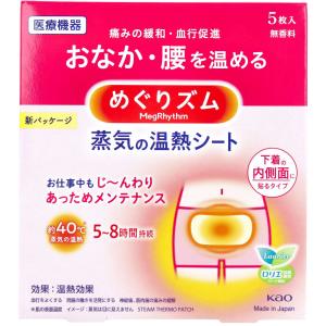 貼るミニ 楽々カイロ 8時間持続 10個入 : 金太郎SHOP - 通販 - Yahoo