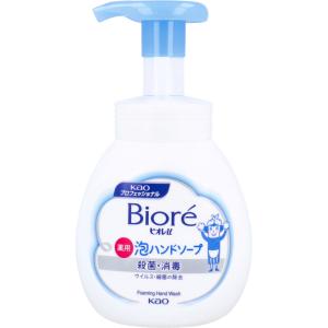 花王業務用 ビオレU 薬用 泡ハンドソープ マイルドシトラスの香り ポンプ 250mL｜kintarou