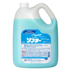 レノア P＆G 煮沸レベル 消臭 抗菌ビーズ ナチュリス シャワー