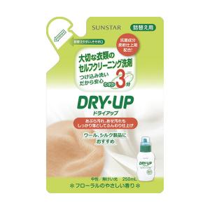 ドライアップ 大切な衣類のセルフクリーニング洗剤 詰め替え 250mL｜kintarou