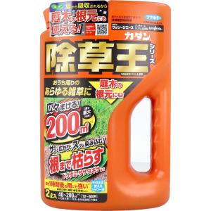 農薬 カダン　除草王　ザッソージエース　2L｜kintarou