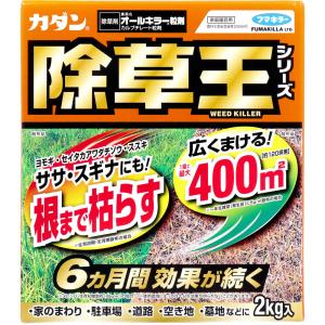 【農薬】 カダン 除草王 オールキラー粒剤 2kg｜kintarou