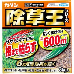 【農薬】 カダン 除草王シリーズ オールキラー粒剤 3kg｜kintarou