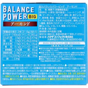 ※ヘルシークラブ バランスパワービッグ アーモ...の詳細画像1