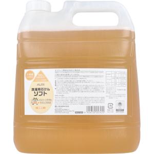 パックス 洗濯用石けん ソフト 無香料 詰め替え 4000mL
