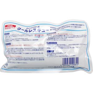 クイックフリーズ クールレスキュー 非常用急速...の詳細画像4