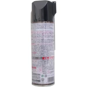 ムシクリン シロアリ床下用エアゾール 480mLの詳細画像1