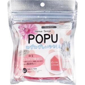 【訳あり】 POPU ポリウレタンスポンジ ハウス形 6個入 ISP-PU03｜kintarou