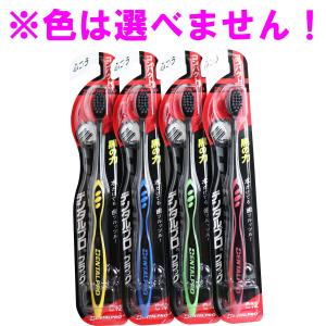 デンタルプロ ブラック 歯ブラシ コンパクト かため 1本入 : 金太郎