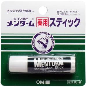 メンターム薬用スティック リップクリーム レギュラータイプ ４ｇ