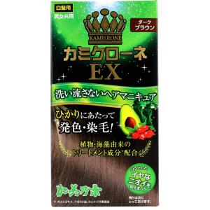 利尻ヘアカラートリートメント ブラック ( 200g )/ 利尻 ヘアカラー